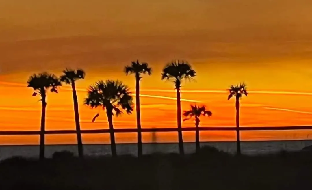 Shores of Panama: Renovated 2-Bedroom Condo with Reserved Parking Panama City Beach Apartment